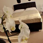 Apartment Studia Letcu 2a *