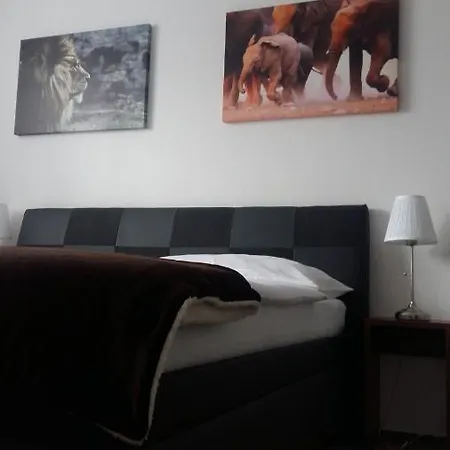 Studia Letcu 2a Apartment *