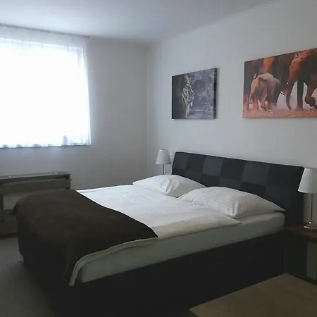 Studia Letcu 2a Olomouc