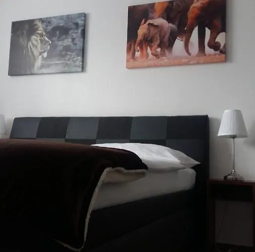 Studia Letcu 2a Apartman *