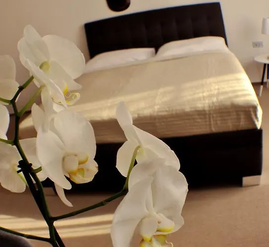 Apartment Studia Letcu 2a *