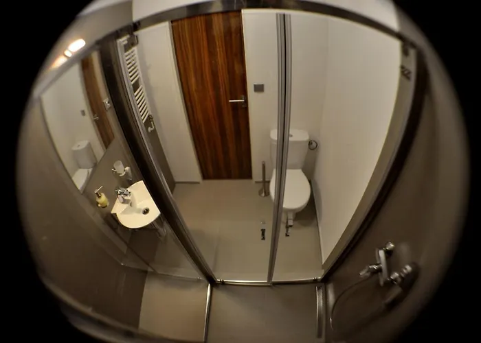 Studia Letcu 2a Olmütz