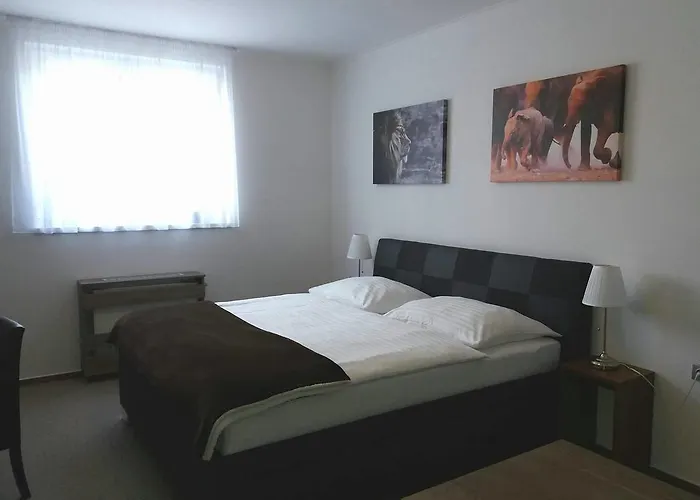 Studia Letcu 2a Olmütz